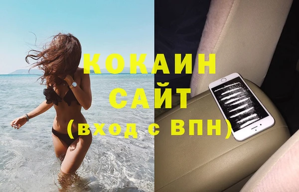 шишки Армянск