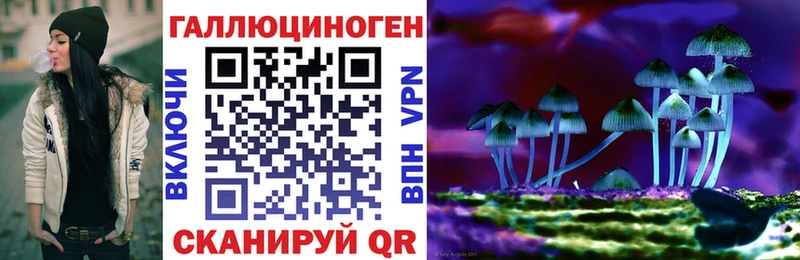 Псилоцибиновые грибы Cubensis  Палласовка 